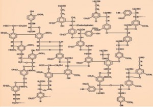 Graphitic bonding in Lignin